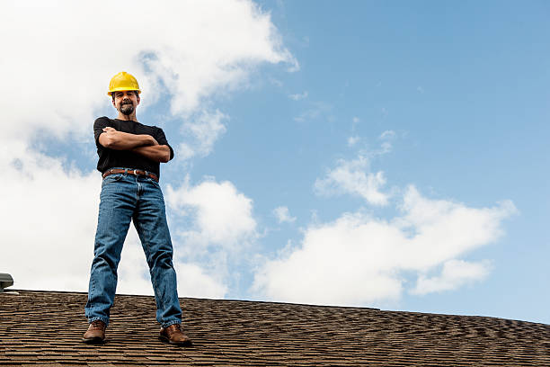 Best Roof Gutter Cleaning  in Wickes, AR