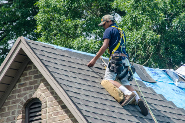 Best Shingle Roofing Installation  in Wickes, AR